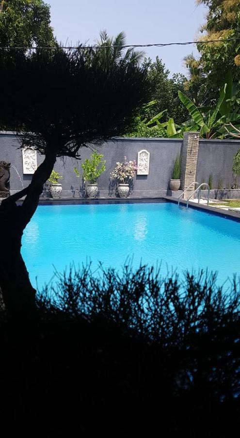 Mias Jungle House Ξενοδοχείο Lovina Εξωτερικό φωτογραφία