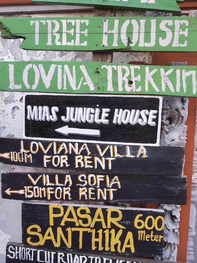 Mias Jungle House Ξενοδοχείο Lovina Εξωτερικό φωτογραφία