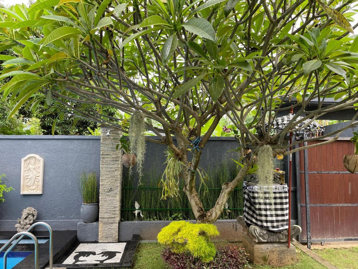 Mias Jungle House Ξενοδοχείο Lovina Εξωτερικό φωτογραφία