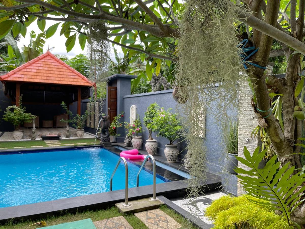 Mias Jungle House Ξενοδοχείο Lovina Εξωτερικό φωτογραφία